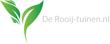 bedrijfsfeestboxtel.nl